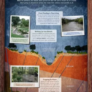 Palmetto State Park - Swamp interpretive