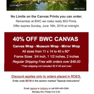 BWC Canvas email BWC Printmakers - Canvas Sale email