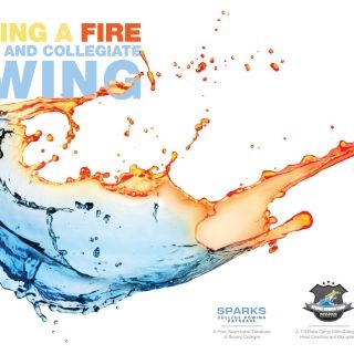 Sparks-Rowing Sparks Consulting - Magazine ad