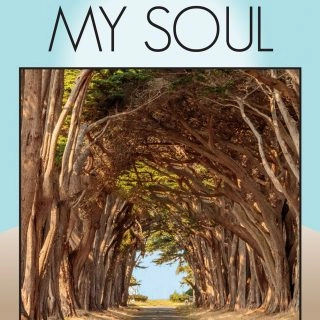 Awake My Soul-Shannon McGraw-v7 Book cover for Shannon McGraw