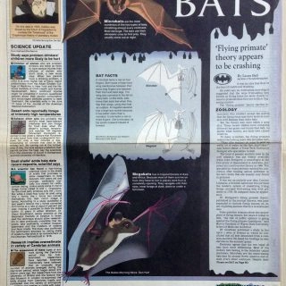 DMN_discoveries3 Dallas Morning News - Discoveries page