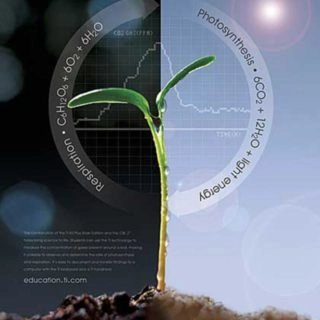 Texas Instruments - Science Calculator Poster